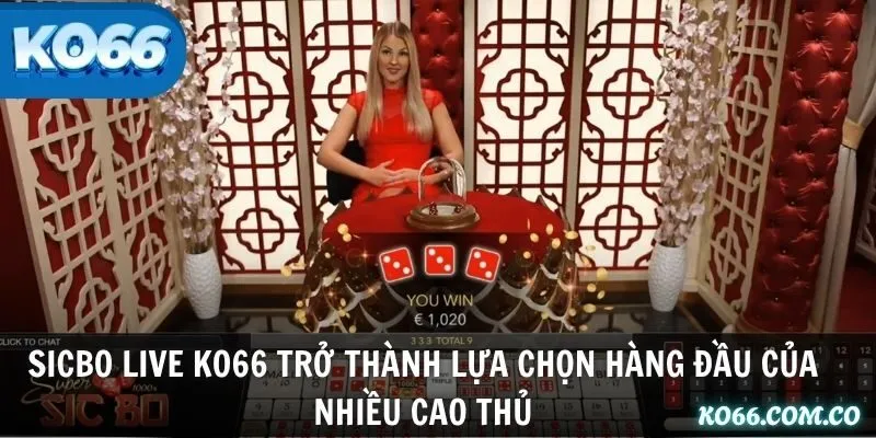 Sicbo Live KO66 trở thành lựa chọn hàng đầu của nhiều cao thủ